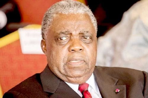 CAMEROUN : QUEL PROFIL POUR LE VICE-PRÉSIDENT ? CAMEROUN : QUEL PROFIL POUR LE VICE-PRÉSIDENT ?